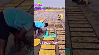 ralo #bestqualityinricetransplanters #bestservice #agriculturefarming #ricetransplanter#paddy