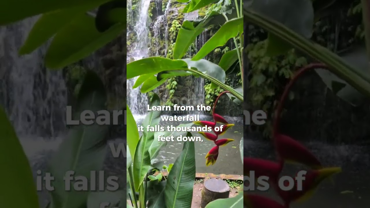 "Learn from the waterfall 