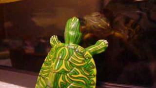 20100308_四仔咬figure.wmv