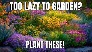 Too Lazy to Garden? Plant These 8 VERY LOW MAINTENANCE Perennials Now! | COLORFUL GARDEN😍 Too Lazy To Garden Plant These 7 Perennials Now