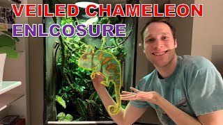 My Veiled Chameleon Enclosure - Check Out His Setup!