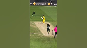 Steve Smith Cover Drive 😲            #shorts #cricket #stevesmith #india