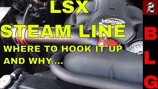 LS STEAM LINE HOOK UP AND EXPLANATION