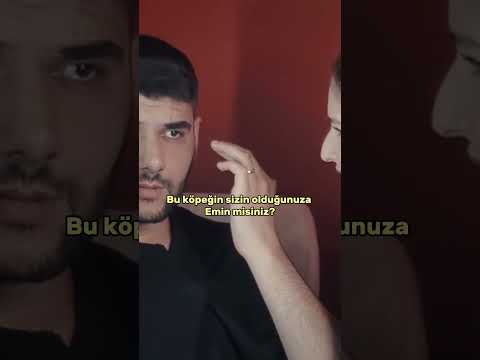 Kayıp köpek ilanı