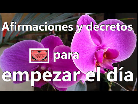 Declaraciones positivas para adelgazar