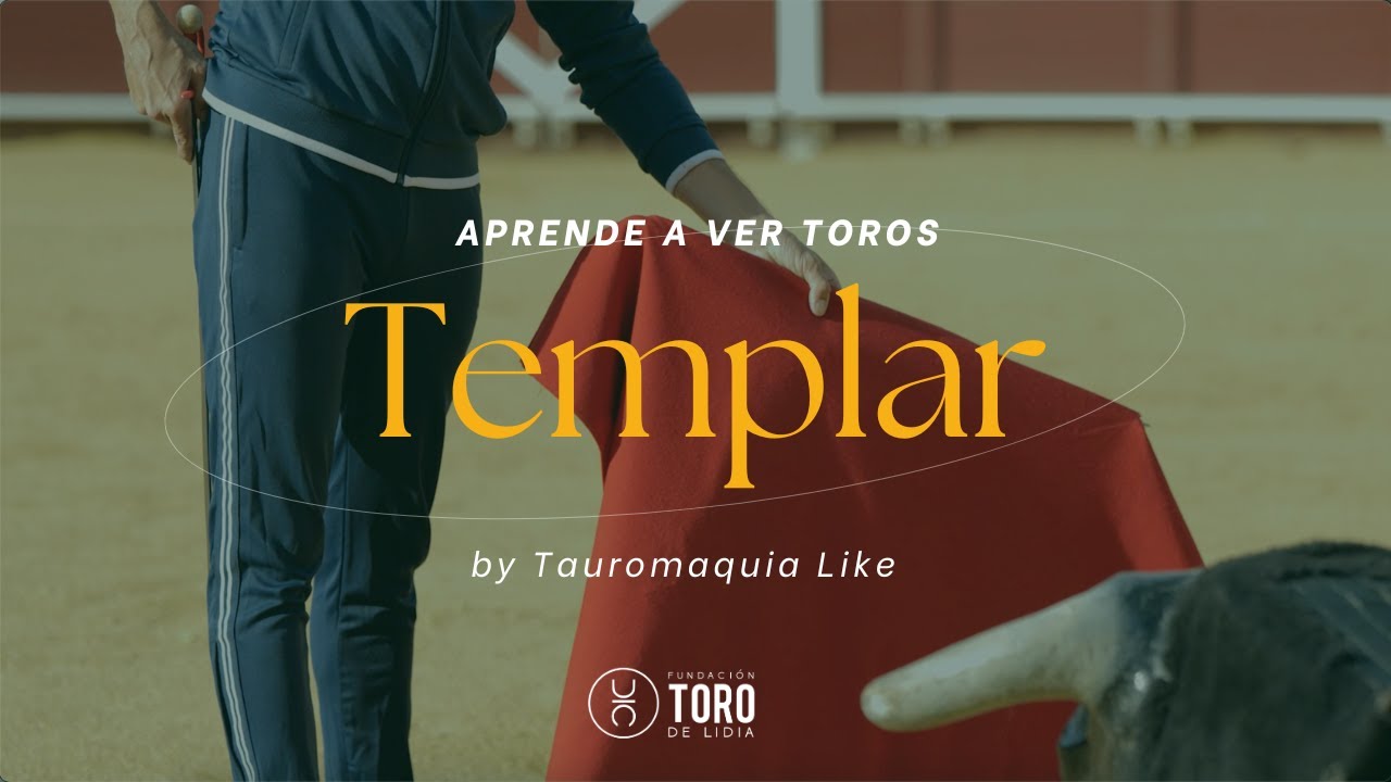 Templar | APRENDE A VER TOROS by Tauromaquia Like