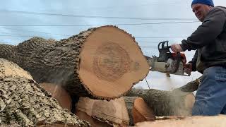 STIHL MS500i PORTED vs PORTED 461