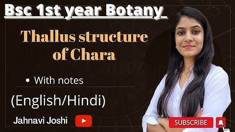 Chara: Thallus Structure (Notes) Bsc bio 1st year