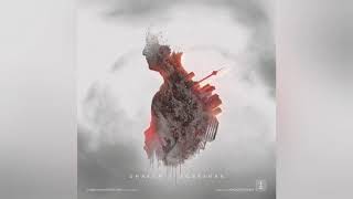 Shayea Ft Ho3Ein - Zebr