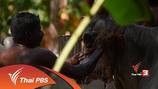 Spirit of Asia : วัฒนธรรมต่อต้านของชาวทมิฬ (26 ก.พ. 60)