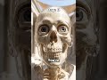POV: You time traveled to Ancient Rome but the weeb epidemic is timeless 💀