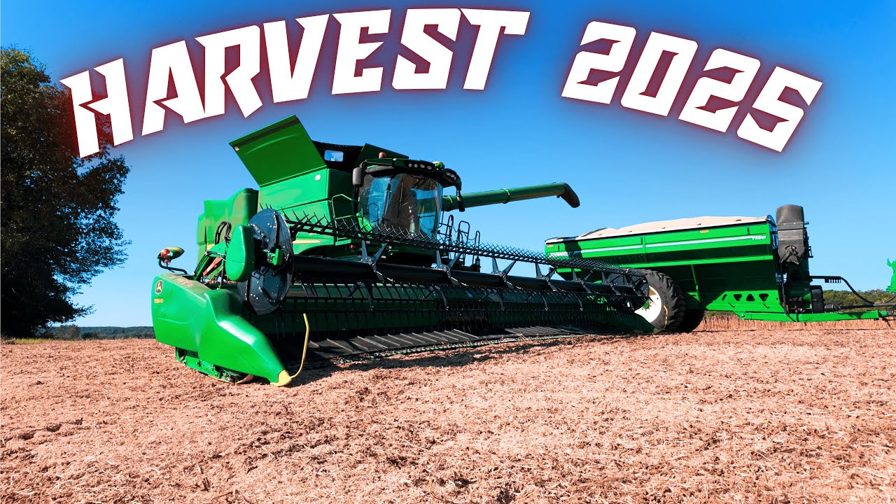 Пытаюсь удержаться.