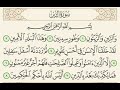 سورة التين مكررة بصوت القارئ هشام الهراز