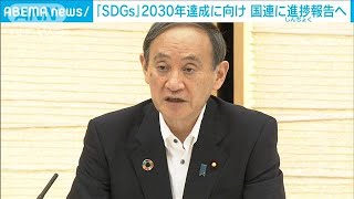 「着実に進展」日本のSDGs進捗　国連に来月提出へ(2021年6月22日)