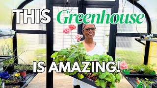 Inside My Vego Garden Greenhouse 🌱 Full Spring Greenhouse Tour + What’s Growing Now
