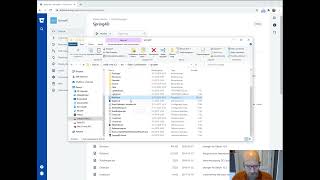 Delphi - Spring installation