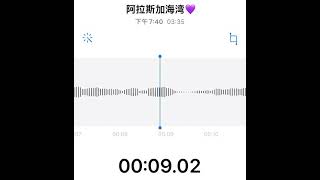 阿拉斯加海湾-菲道尔 Cover By-Celine Lim