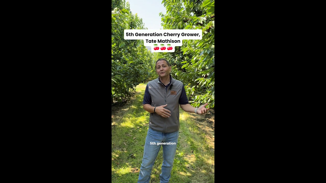Meet The Cherry Grower