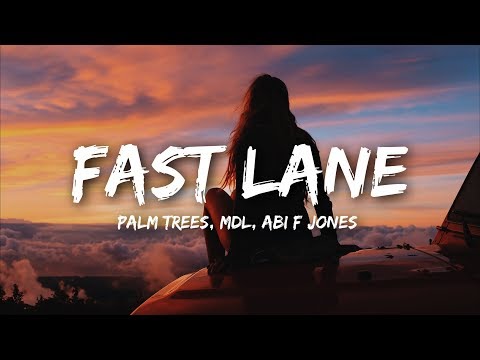 Palm Trees &