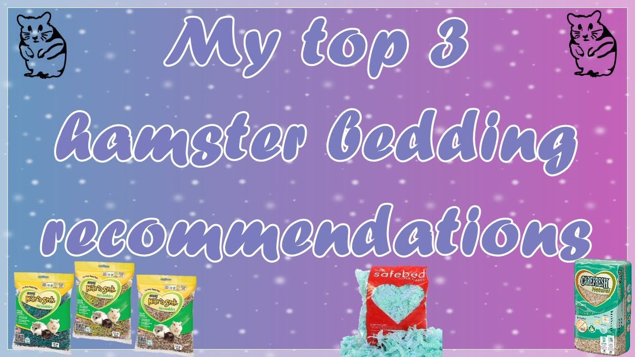 My top 3 hamster bedding YouTube
