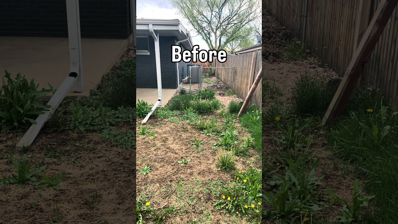 Landscaping Glow Up ✨(Featuring accidental Real Estate Agent Karaoke 😂) 