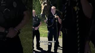 Police catch runaway horse... for the 2nd time this week! #indiana Wealth