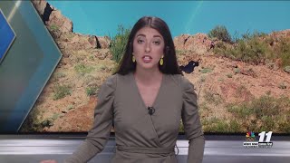 Unruly passenger on flight to Atlanta forces emergency landing