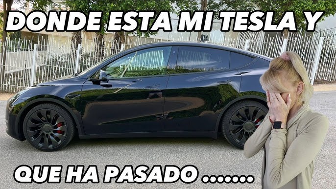 Accesorios de cubierta de automóvil Tesla Model Y, fundas completas para  automóvil con puerta con cremallera 300D, a prueba de polvo, viento, malla