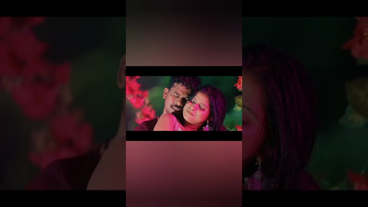 Aam Aar ing Nichol Bera re | Santali video song| santali status video 
