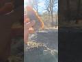What did she find… goodNESS!!