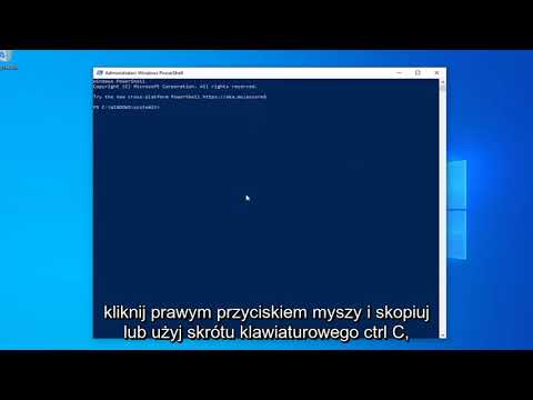 Windows 10 taskbar search icon not working