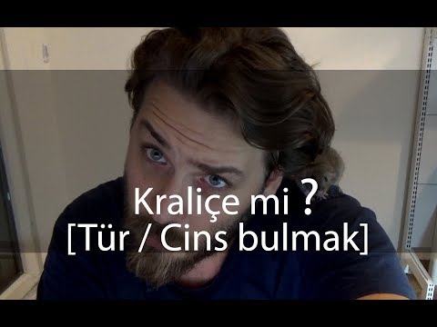 Kraliçe mi ? Türü/Cinsi nedir ?