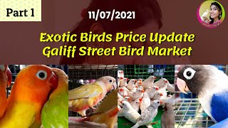 Current Exotic Bird Price Update||Galiff Street Bird Market Kolkata||11/07/2021