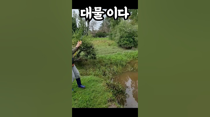 대물 장어 낚시