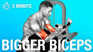 The Best Science Based Biceps Exercises For Size