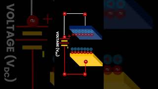 Parallel Plate Capacitor Animation: How It Works! ⚡ Physics Explained