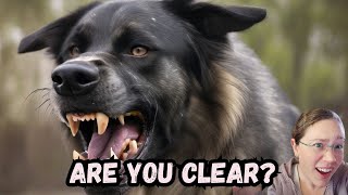 How to Get Your (REACTIVE) Dog to Understand You  No Corrections  Positive Dog Training