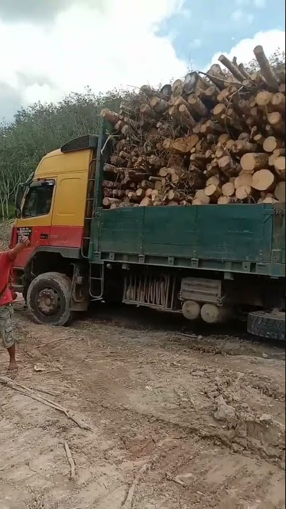 #LaloNgaro musim hujan punya cerita #workingtime #shorts
