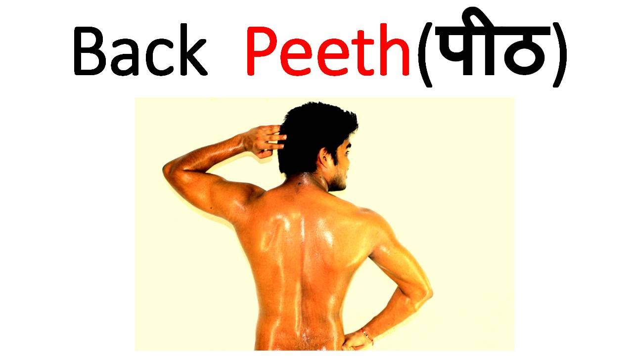 Hindi Body Parts Chart