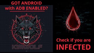 Kimwolf Botnet: Your Wi-Fi Network could have a Secret Tenant. (And they're a Hacker)