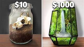 Ekosystem terrarium za $10 vs $1000