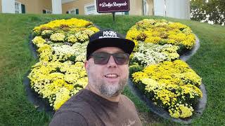 I Got To See The Dolly Parton's Stampede Show Horses | Some Of Them Were Huge | Branson Missouri