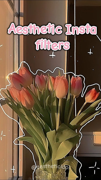 Filter Instagram Estetika | 🌈🤎🍭 #shorts #short