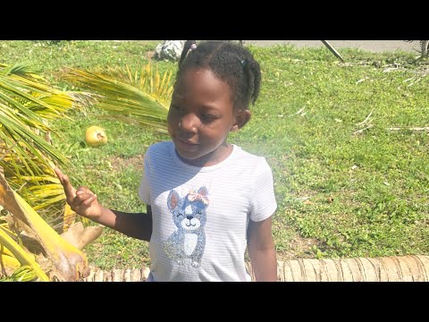 TWINKLEE12 Zelle 646 462 6554 18764193535