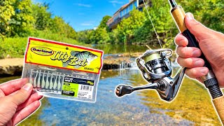 Urban Birmingham, AL Creek Fishing!