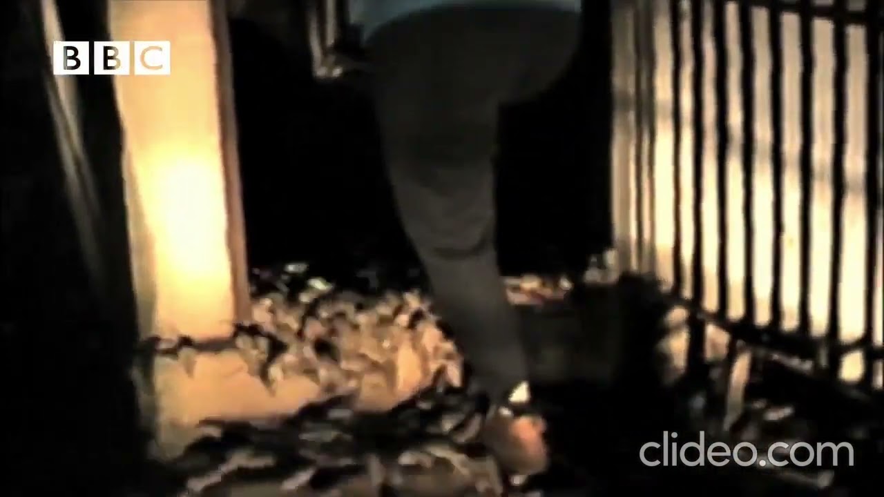 Conor3D 1 Million Subscribers QnA leak