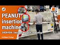 Overview for the new peanut insertion machine from koch technology