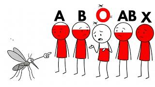 Why Are Mosquitoes Attracted to Your Blood Type