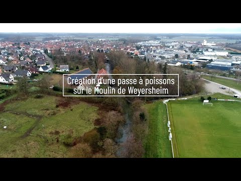 Aménagement d'une passe-à-poissons à Weyersheim
