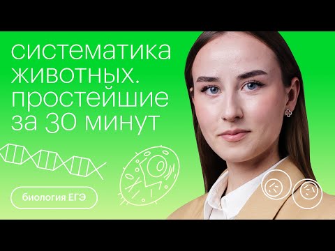 Систематика животных. Простейшие за 30 минут | Биология с Альбиной Амировой